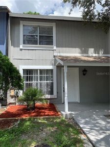 14121 Village Terrace Dr, Tampa, FL, 33624