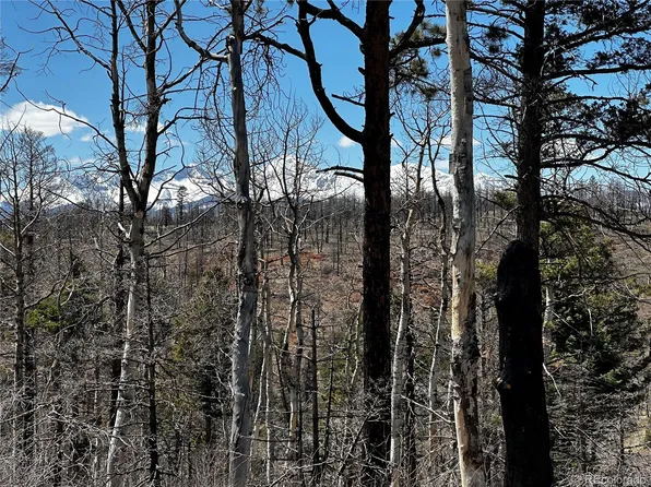 322 Brophy Drive LOT 322, Fort Garland, CO 81133