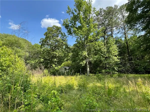 115 E Forest Oaks Dr, Sanford, NC 27330