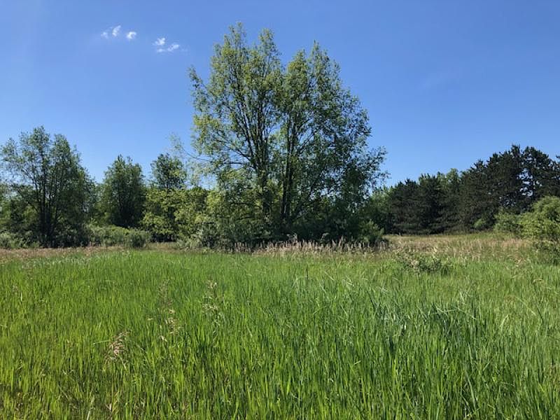 2nd image of E Sanilac Rd