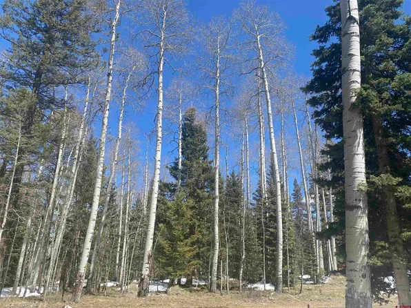 1401 Hazel Lake Drive, Cimarron, CO 81220