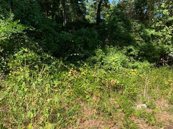 Elmwood Trl, Gilmer, TX 75645