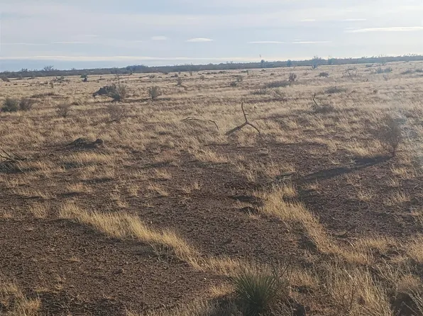 Blazing Trl SE, Deming, NM 88030
