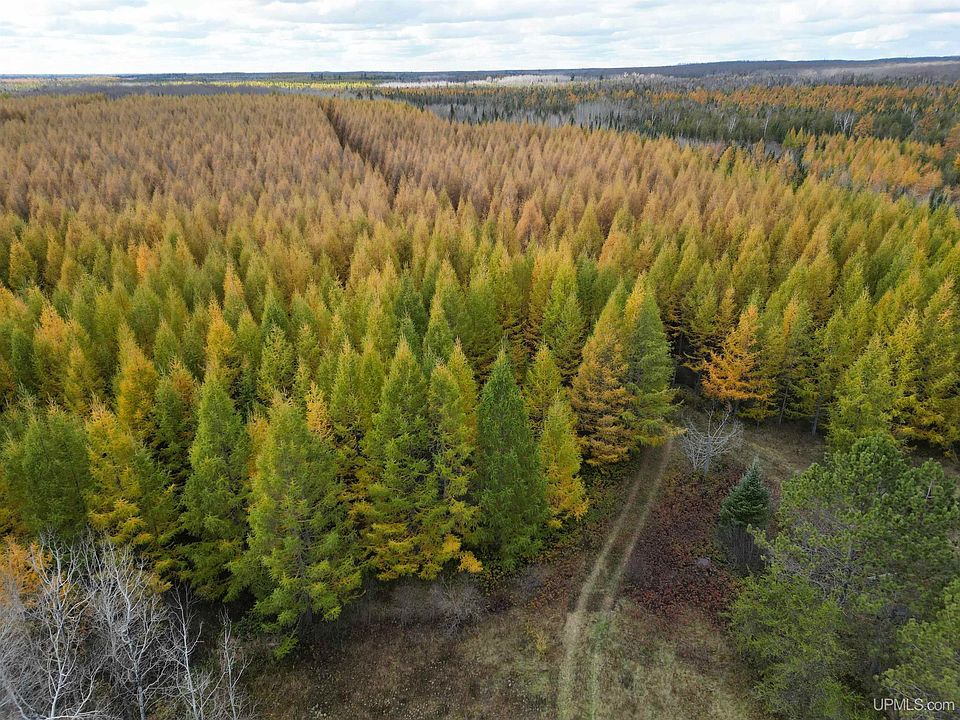 N Gulliver Rd, Gulliver, MI 49840 Zillow