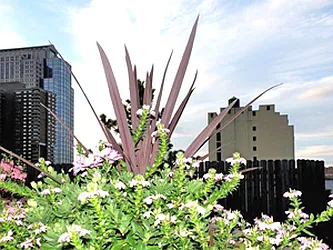 Sold by Halstead Real Estate