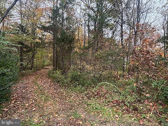 5th image of 23 Kuzyk Rd