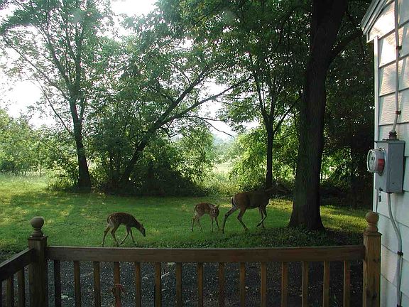 3rd image of 1 Bullocks Ln