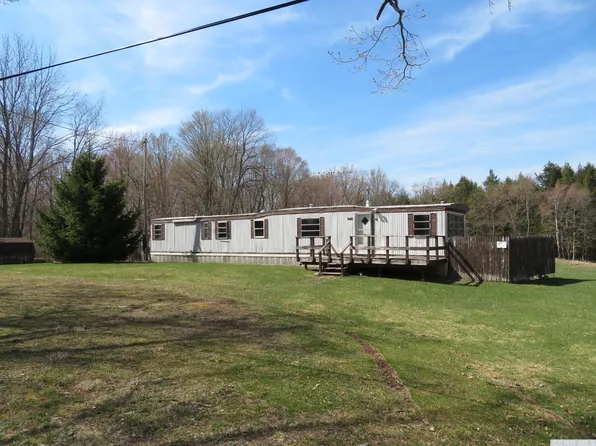 813 South Mountain road, Conesville, NY 12076