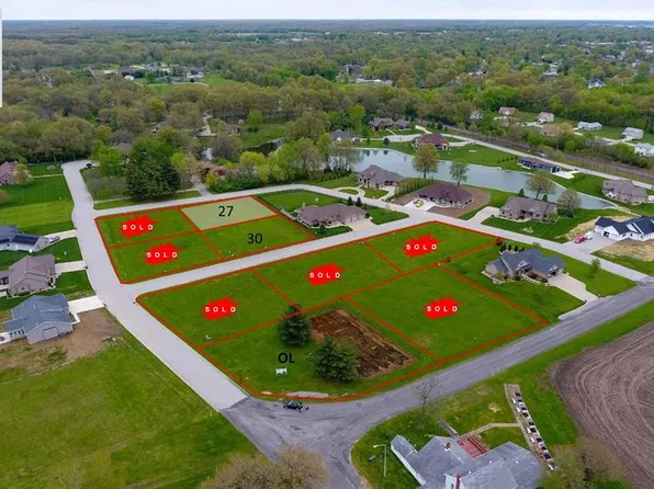 995 Alicia Way, Staunton, IL 62088