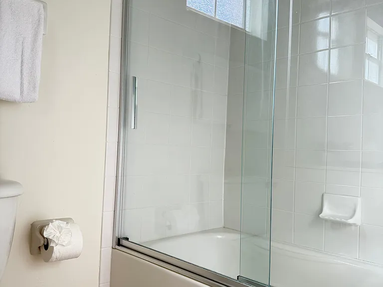 Tub Shower - second bathroom
