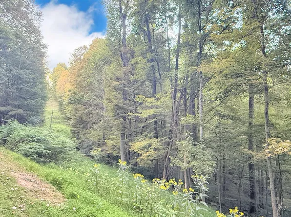 1 Flag Run Rd, Grafton, WV 26354