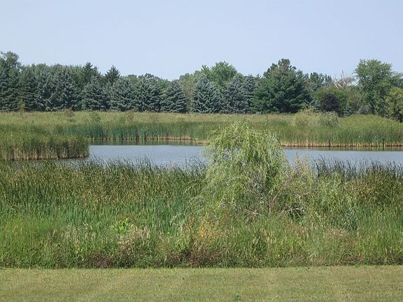 3rd image of 4520 Foxgrove Dr