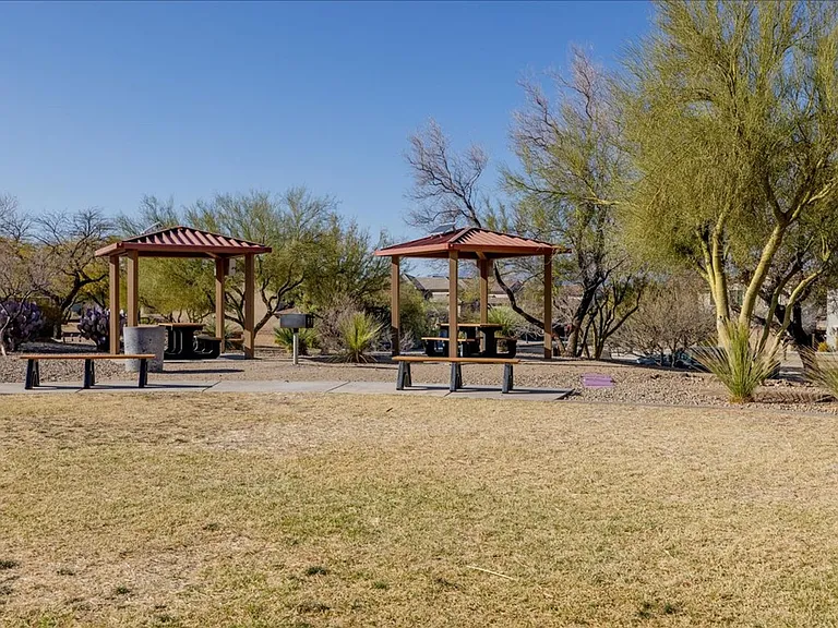 10787 E Orchid Cactus Ln — Photo 37