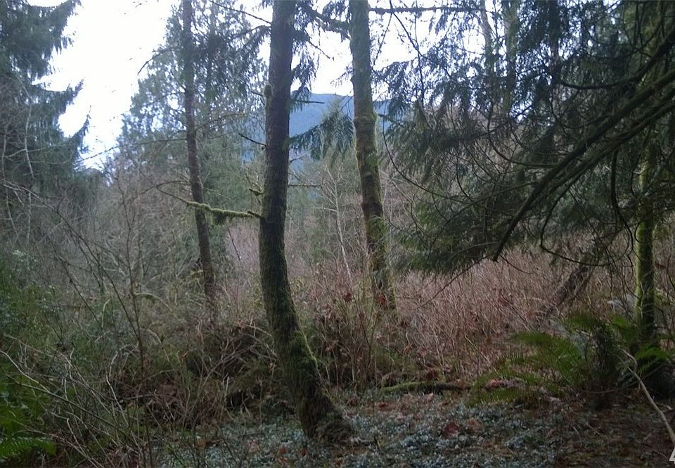 1st image of 44652 SE 151st Pl