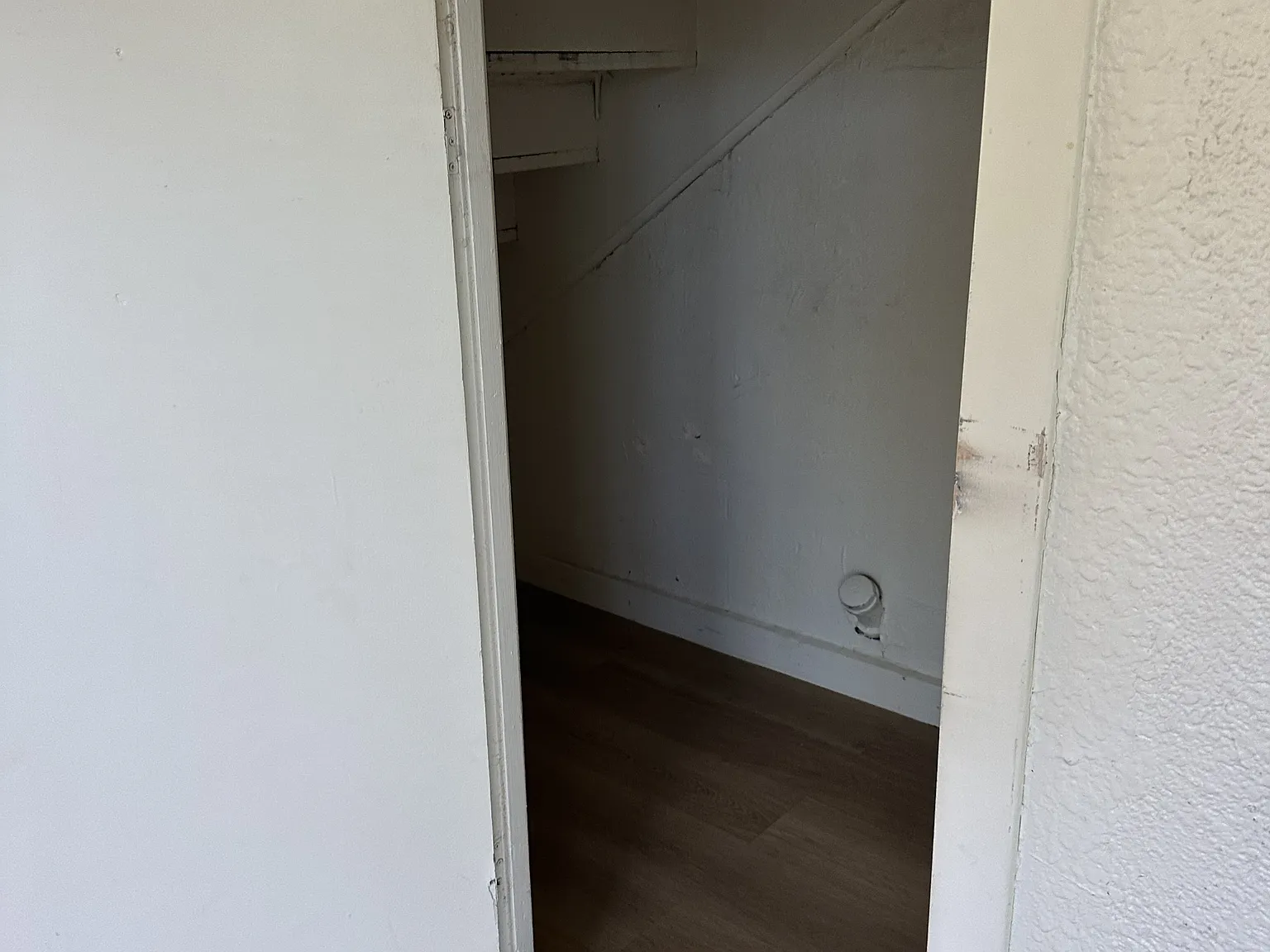 934 Clark St — Photo 4