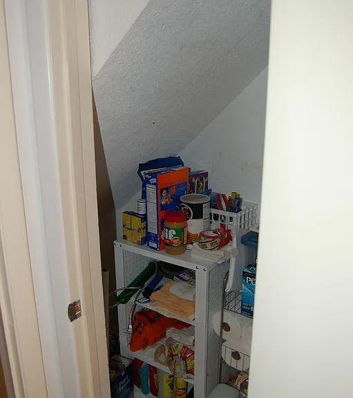 Supply closet beneath stairs