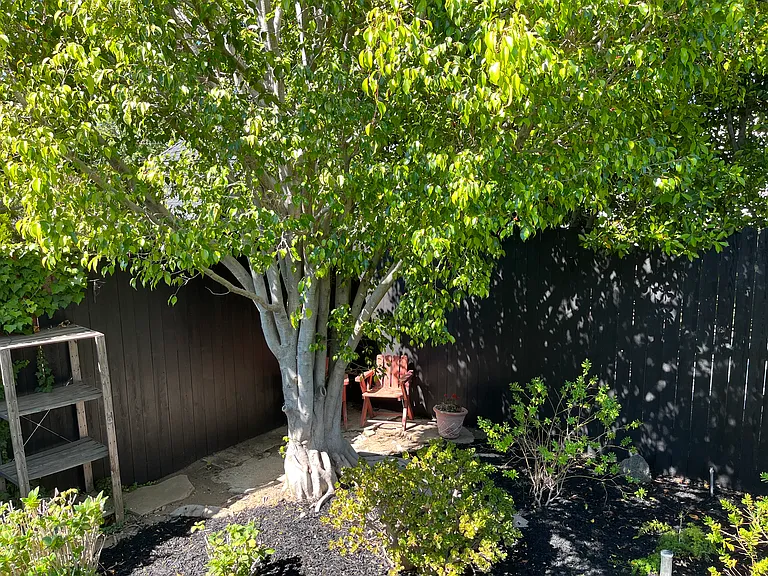 SITTING AREA IN PRIVATE YARD