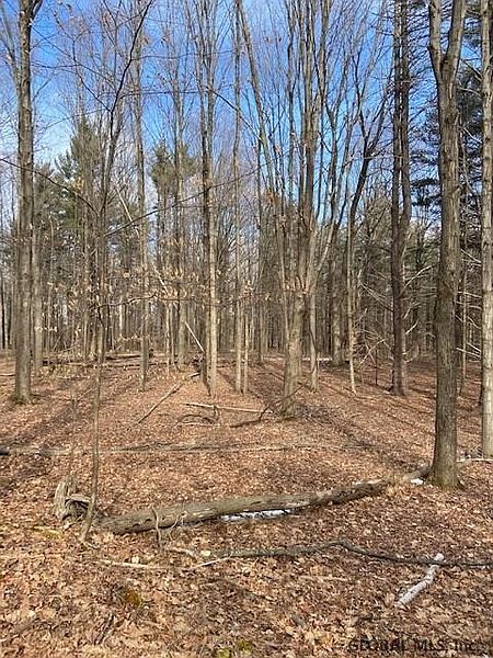 3rd image of 00 STOVE PIPE Road