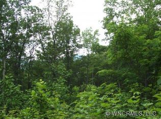 Xxx Raccoon Rdg, Fairview, NC 28730