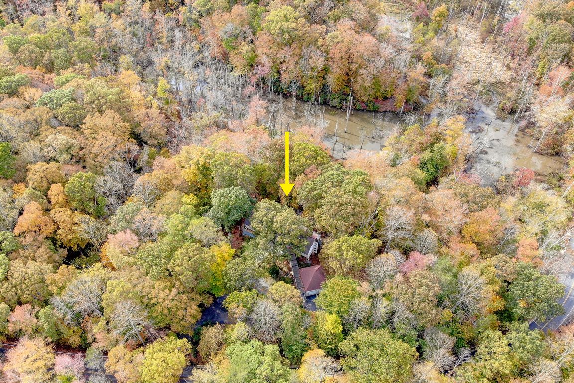 next background image