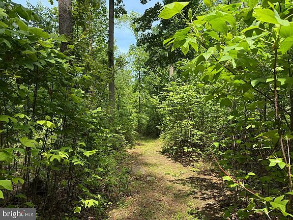 5th image of 1410 Little Conestoga Rd