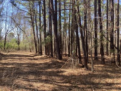 0 Legion Rd, Saint Stephen, SC, 29479