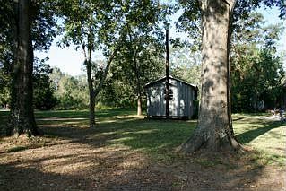Back yard and shed