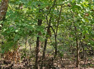 41 Forest St, Theodosia, MO 65761