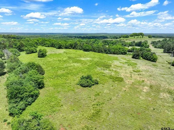 County Road 2493, Bullard, TX 75757