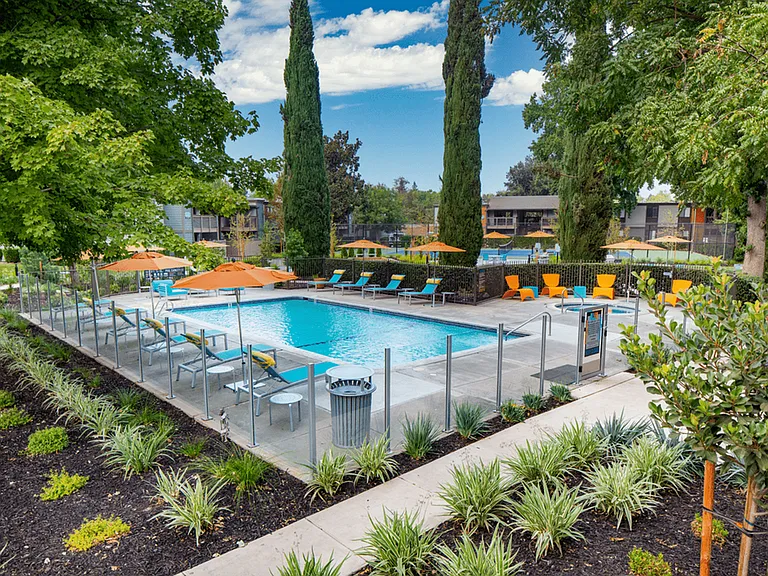 Resort Style Pool