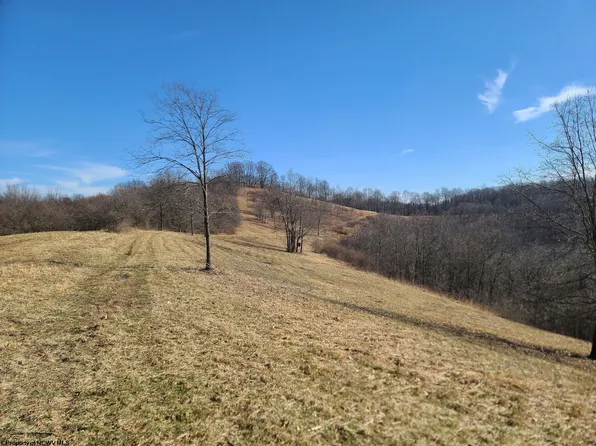 1931 Saint Leo Rd, Wana, WV 26590