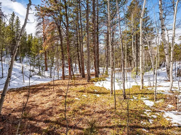 12 Hayes Street LOT 27, Bailey, CO 80421