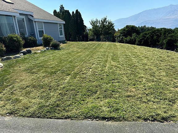 Front yard from the driveway