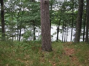 1st image of W5314 Badger Ln Lot 3
