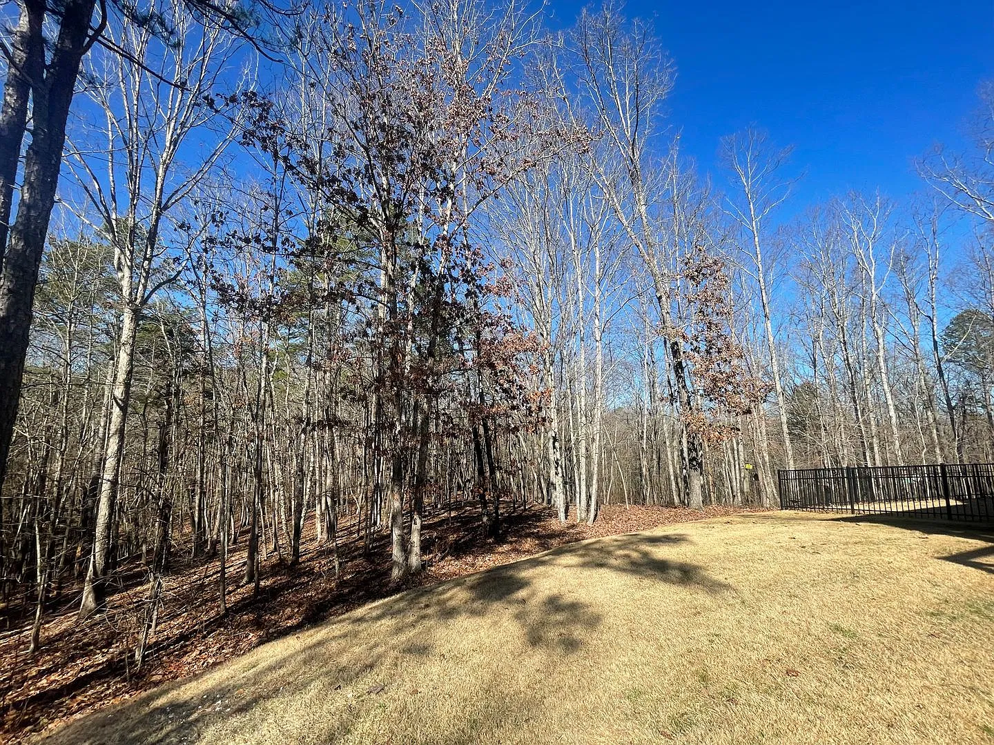 4 Bedroom Soddy Daisy Rental Property with Finished Basement — Photo 3