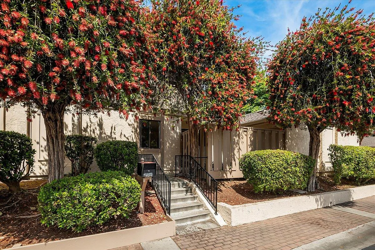 20604 Mapletree Pl photo 1