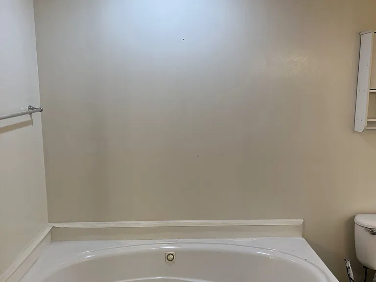 Master Bathroom soaking tub.