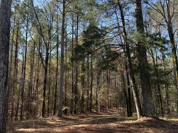 344 Hines Rd, Camden, MS 39045
