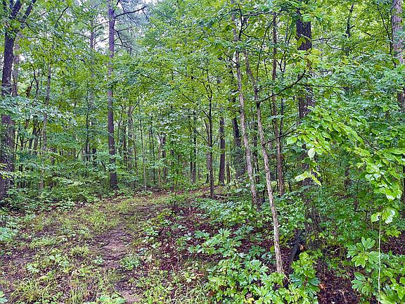 2nd image of 54 Lou Rd Lot 54