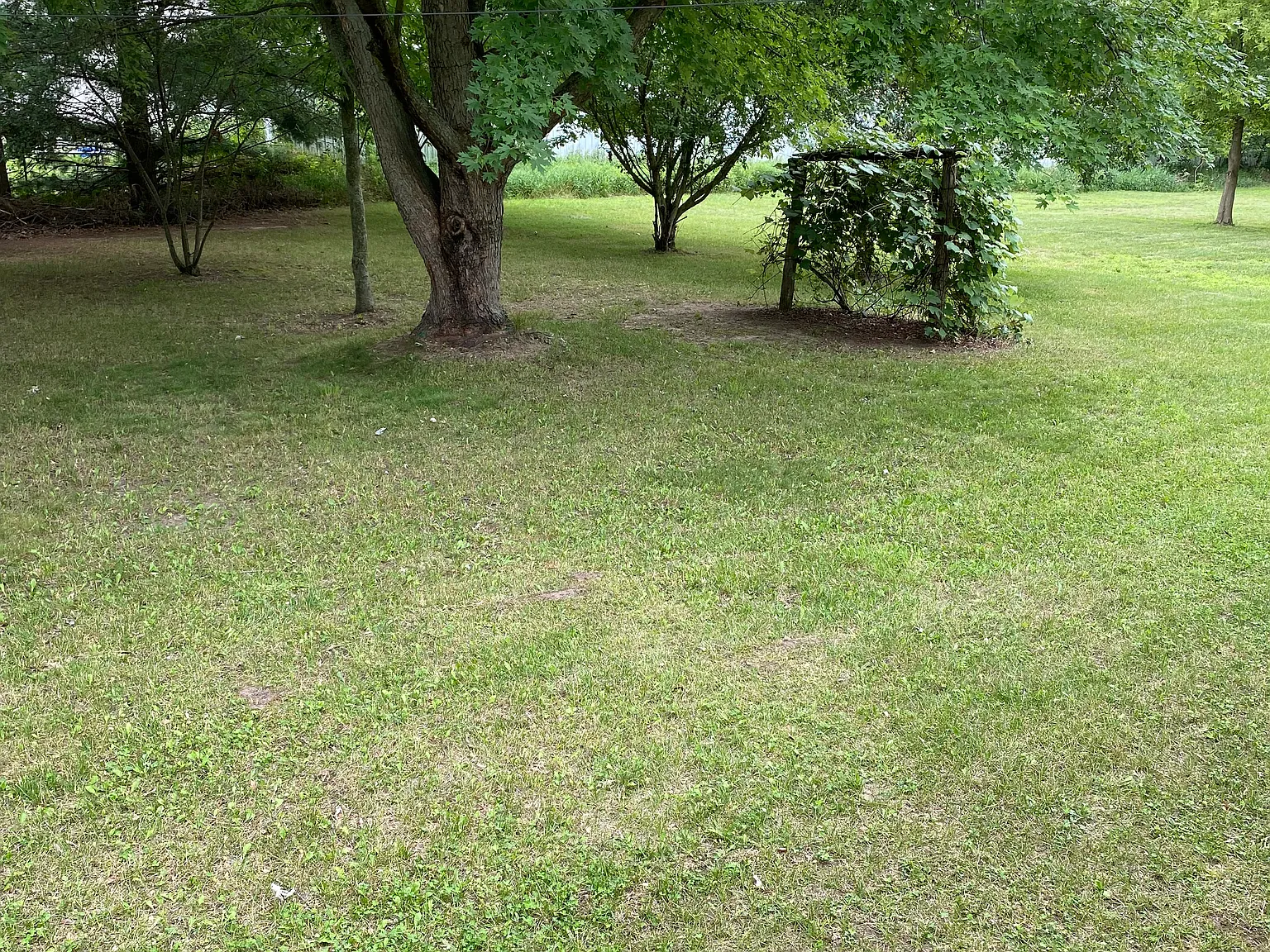 2 bed, 1204 sqft, $1,500 — Photo 4