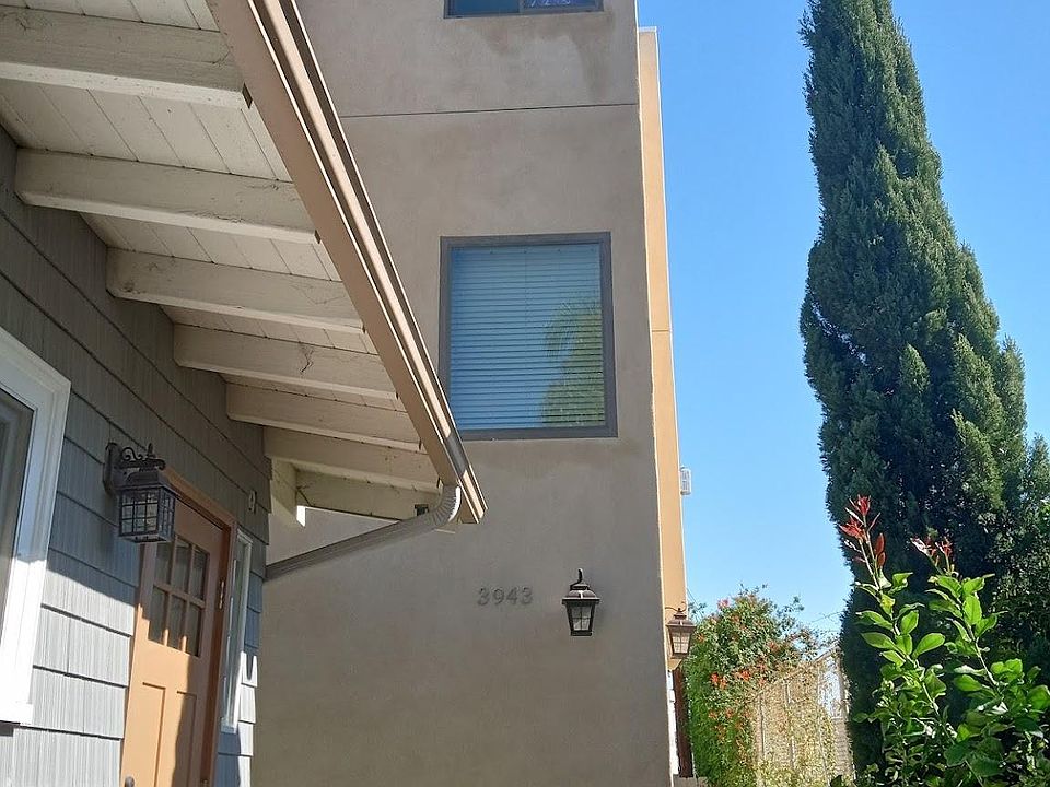 1st image of 3943 Albatross St #3943