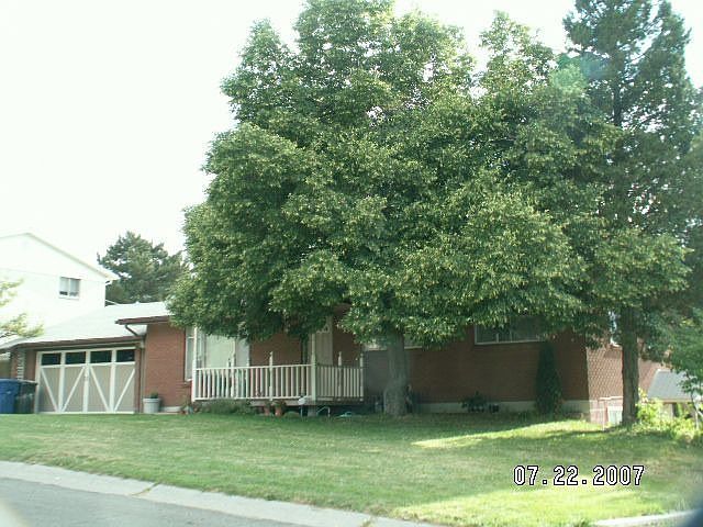 Beautiful house, Great yard!