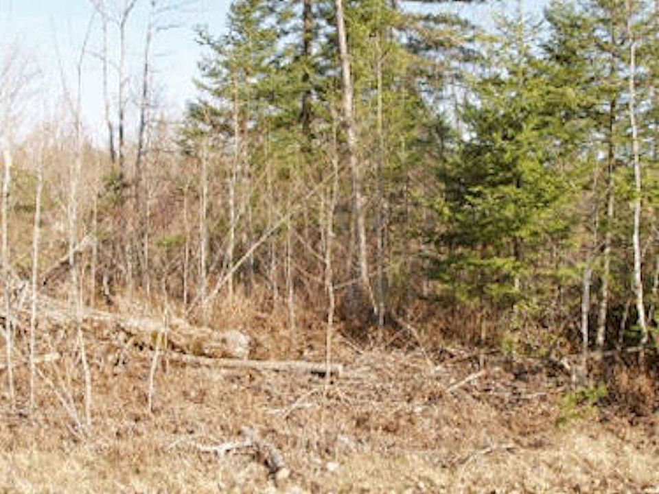 2nd image of On Woody Rd