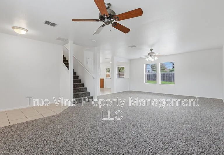 136 Texas Mulberry — Photo 4