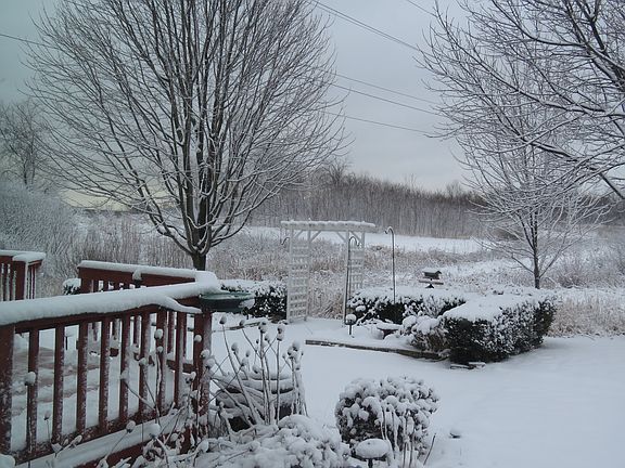 Winter