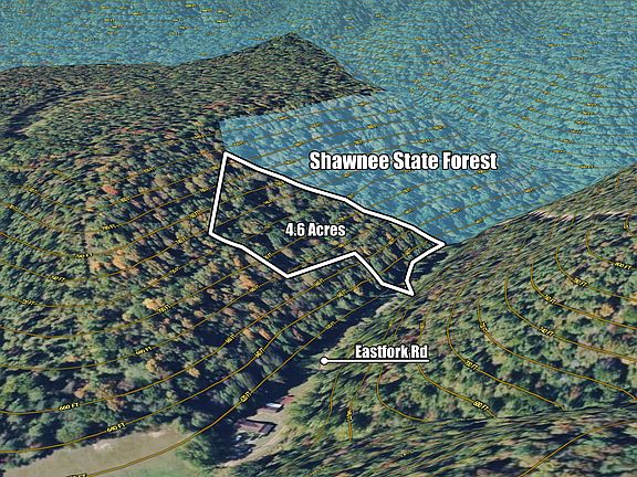 2nd image of 0 E Fork Rd