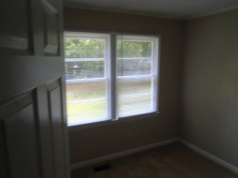 517 Albany St — Photo 18
