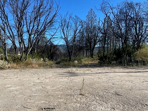 5th image of 55 Cedar Tree Ln