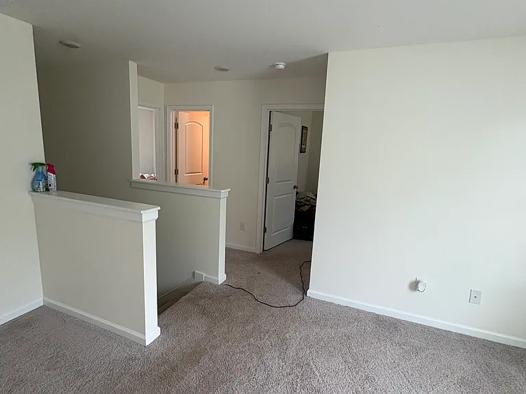 230 Purple Martin Dr — Photo 10