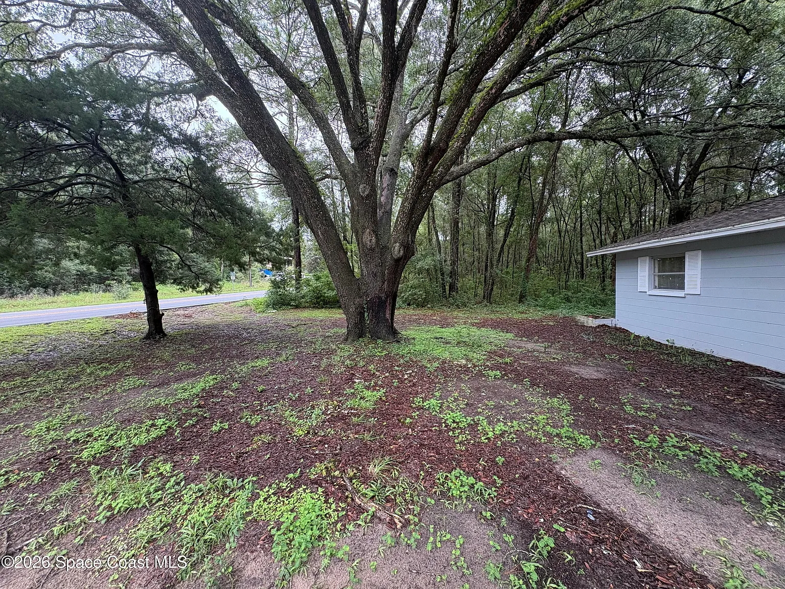 2 bed, 1.0 bath, 1340 sqft, $1,650 — Photo 3